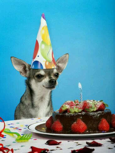 2nd Birthday Celebration on 30-31 March